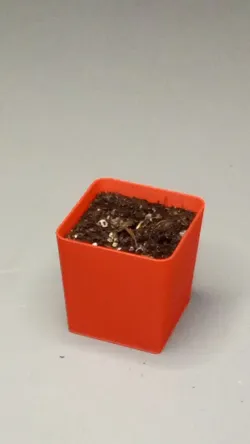 Reusable seeding pot - Mifa GrowSystem