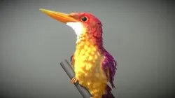 Ruddy Kingfisher