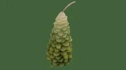 Christmas pine candle