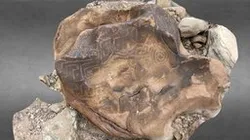 Grand Canyon Petroglyph Shaman Seat - Arizona