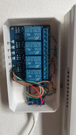 Tesla Stropkov 2-BUS ESP Home opener Case