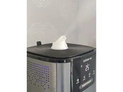 Air humidifier vapour emitter