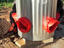 Chicken Feeder