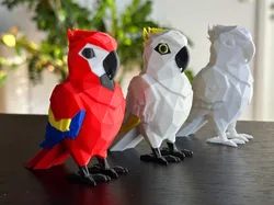 Cute Low Poly Parrot (No Supports)