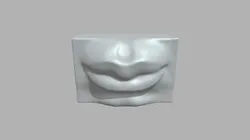 Lips model