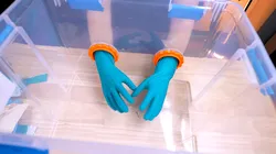 Sanding Box Glove Adapters for Small & Large Gloves