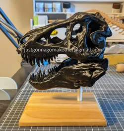 T-Rex Skull With Full Jaw