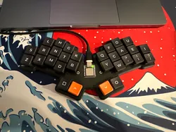 Tern Tray Case