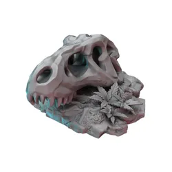 Dino Skull