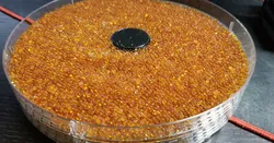 Last Gen Food Dehydrator Tray Mesh