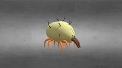 cute nut Mite