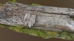 Quarry Big Wood Chunk Scan