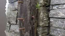 Quarry Wood And Bolts Scan