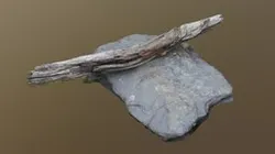 Quarry Wood Scan