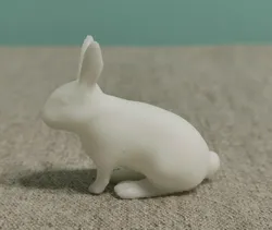 Rabbit