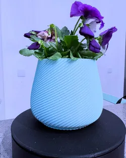 Spiral Pot