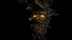 The End of the Ent