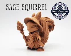 The Sage Squirrel - Owls & Dragons