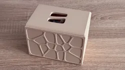 Voronoi Storage Box