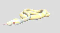 albino ball python