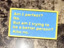 "Am I Perfect?" Funny Sign
