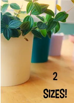 Flowerpot