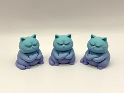 Grumpy Zen Cat