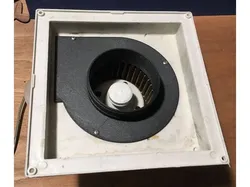 K40 Exhaust mod