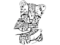 Tiger Cub stencil 3