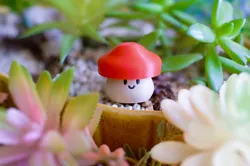 Adorable Mushroom Fidget Toy