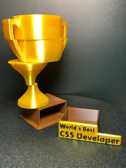 Badges & Coins STL Descărcare - World's Best CSS Developer - CHEN8938