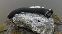 Quarry Tube Scan 2