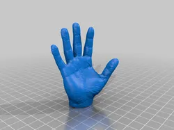 Right and left Hand separately