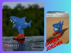 shark jordan