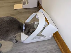 SureFeed Mircrochip Pet Feeder Back/Rear Cover - Remix