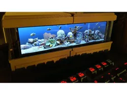 The Rockpiquarium