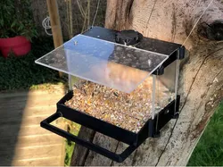 Bird feeder for small birds