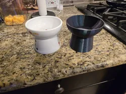 Pedestal Cat Food Bowl