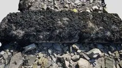 Seaweed Concrete Scan