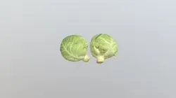 Cabbage Vegetable 3D Model AR VR PBR