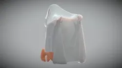 Cloth girl