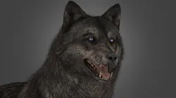 COD: Ghost's Wolf [+Puppy]