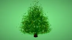 FOREVER AND EVER AND EVERGREEN