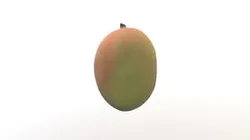 Mango Fruit 3D Model AR VR PBR