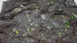Mud Surface Scan
