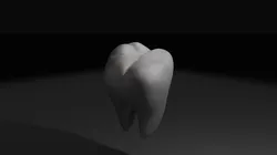 Tooth
