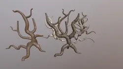 Twisty Trees