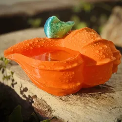 Bird Perched on a Conch Shell