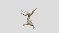 Dead Tree