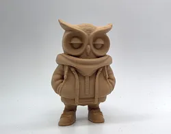 Hoodie Owl